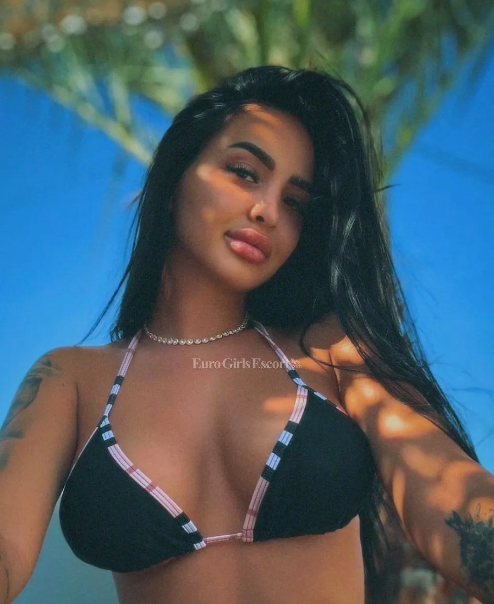 Lolly photo 2